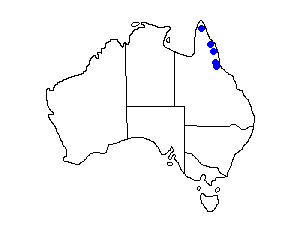 Image of Range of Southern Cassowary