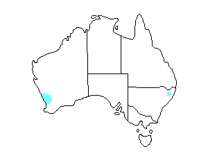 Image of Range of Northern Pintail