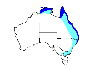 Image of Range of Forest Kingfisher