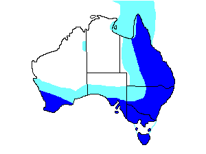 Image of Range of Fan-tailed Cuckoo