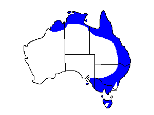 Image of Range of Sulphur-crested Cockatoo