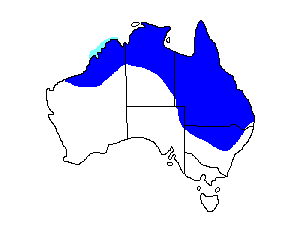 Image of Range of Red-winged Parrot