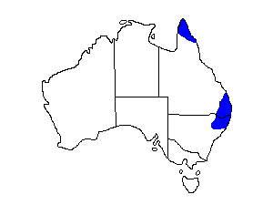 Image of Range of Marbled Frogmouth