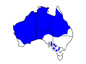 Image of Range of Australian Bustard