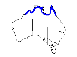 Image of Range of White-browed Crake