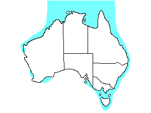 Image of Range of Whimbrel