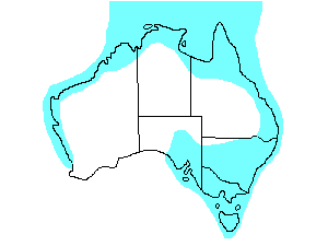 Image of Range of Common Greenshank