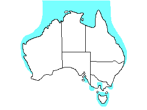 Image of Range of Grey-tailed Tattler