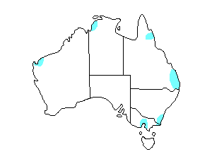Image of Range of Asian Dowitcher