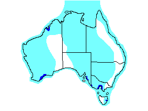 Image of Range of Long-toed Stint