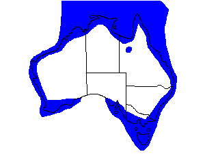 Image of Range of Curlew Sandpiper