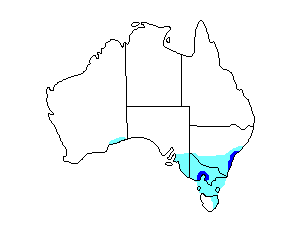 Image of Range of Buff-breasted Sandpiper
