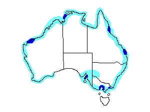 Image of Range of Broad-billed Sandpiper