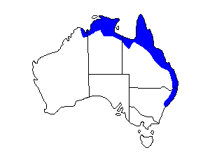 Image of Range of Comb-crested Jacana