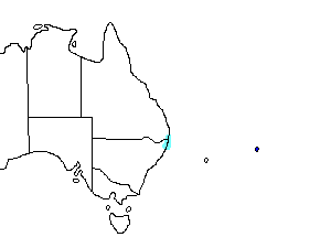 Image of Range of South Island Pied Oystercatcher