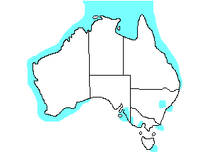 Image of Range of Grey Plover