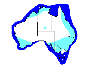 Image of Range of Red-capped Plover