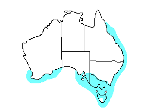 Image of Range of Double-banded Plover