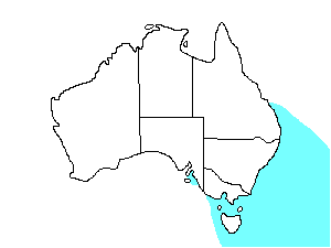 Image of Range of White-fronted Tern