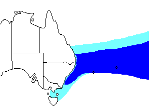 Image of Range of Grey Ternlet