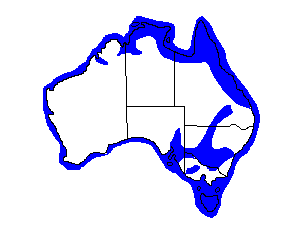 Image of Range of White-bellied Sea-Eagle