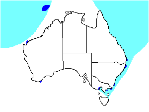 Image of Range of White-tailed Tropicbird