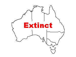 Image of Range of Tasman Booby