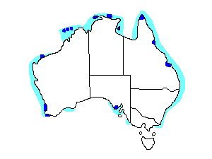 Image of Range of Eastern Reef Egret
