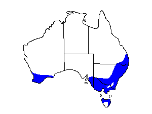 Image of Range of Australasian Bittern