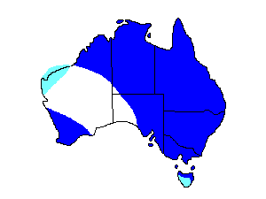Image of Range of Australian White Ibis