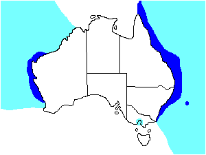 Image of Range of Wedge-tailed Shearwater