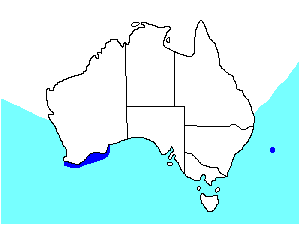 Image of Range of Flesh-footed Shearwater