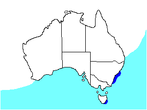 Image of Range of Sooty Shearwater