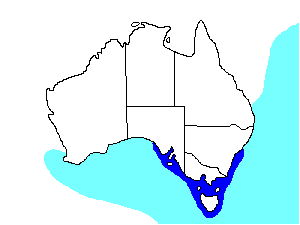 Image of Range of Short-tailed Shearwater