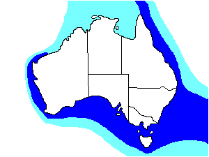 Image of Range of Hutton's Shearwater