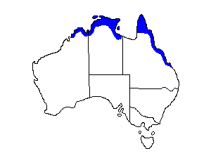 Image of Range of Large-billed Gerygone
