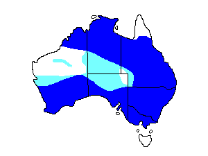 Image of Range of Jacky-Winter