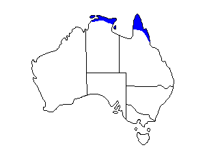 Image of Range of Grey Whistler