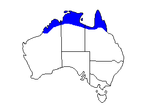 Image of Range of Northern Fantail