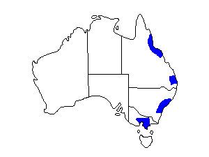 Image of Range of Common Myna