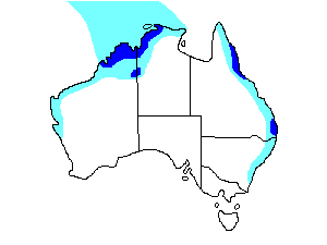 Image of Range of Barn Swallow