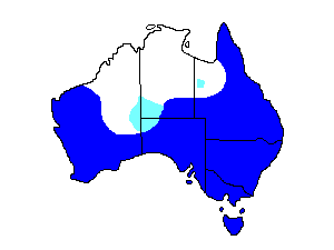 Image of Range of Welcome Swallow