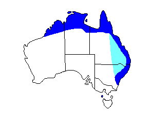 Image of Range of Tawny Grassbird