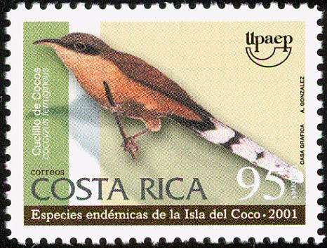 Image of Cocos Cuckoo