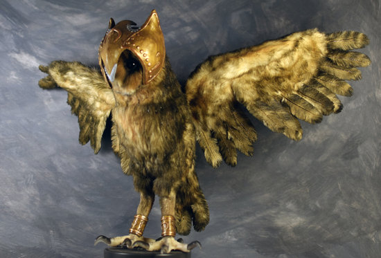 Image of Taliabu Masked-Owl