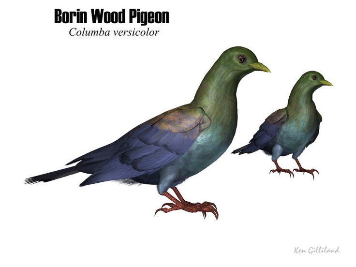 Image of Bonin Woodpigeon