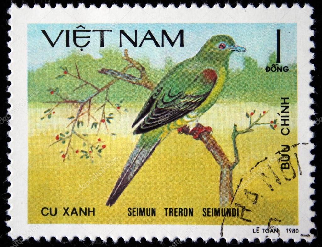 Image of Yellow-vented Green-pigeon