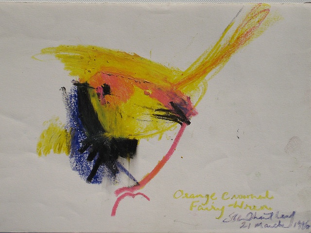 Image of Orange-crowned Fairy-wren