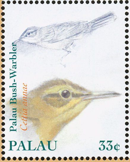 Image of Palau Bush-Warbler