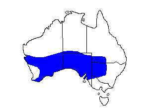 Image of Range of Malleefowl